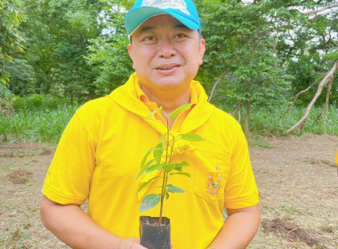 กิจกรรมปลูกต้นไม้เฉลิมพระเกียรติพระบาทสมเด็จพระเจ้าอยู่หัว ... พารามิเตอร์รูปภาพ 3